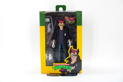 Teenage Mutant Ninja Turtles Scrag Action Figure – Lootcrate Exclusive (2021) product image
