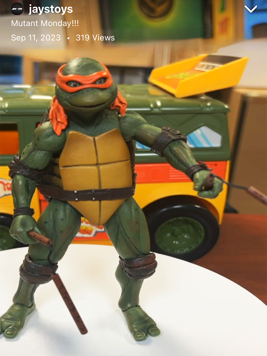 Picture of TMNT Figure