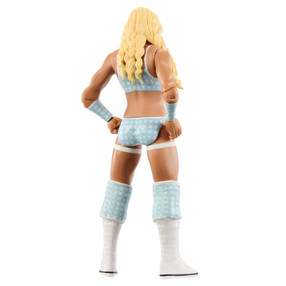 WWE Main Event Series Figure Series 159 Action Figure (Complete Set of 5)