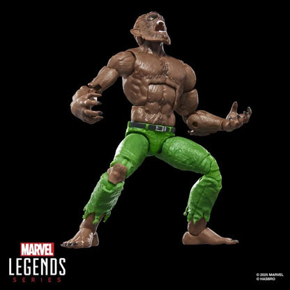 Werewolf By Night Marvel Legends Action Figure (Executioner BAF)