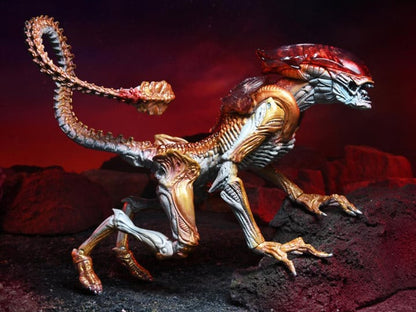 Aliens Kenner Tribute - Panther Alien