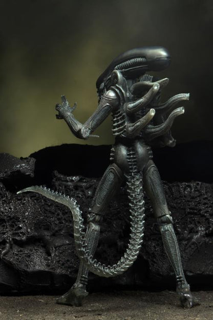 Alien 40th Anniversary - Giger's Alien