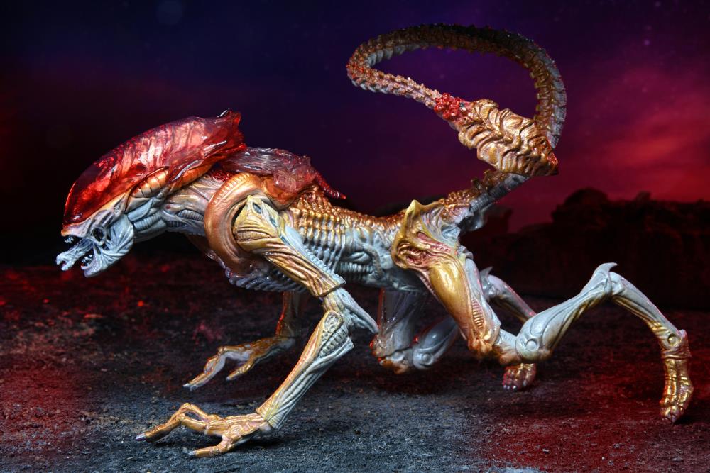 Aliens Kenner Tribute - Panther Alien
