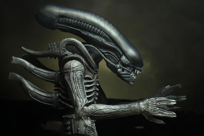 Alien 40th Anniversary - Giger's Alien