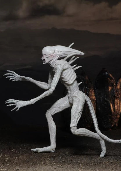Alien: Covenant - Neomorph