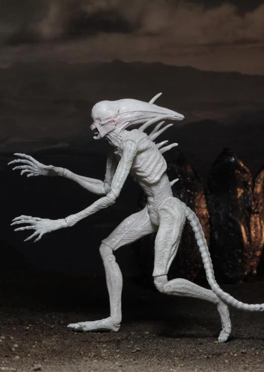 Alien: Covenant - Neomorph