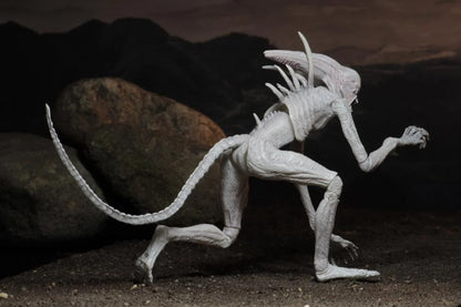 Alien: Covenant - Neomorph
