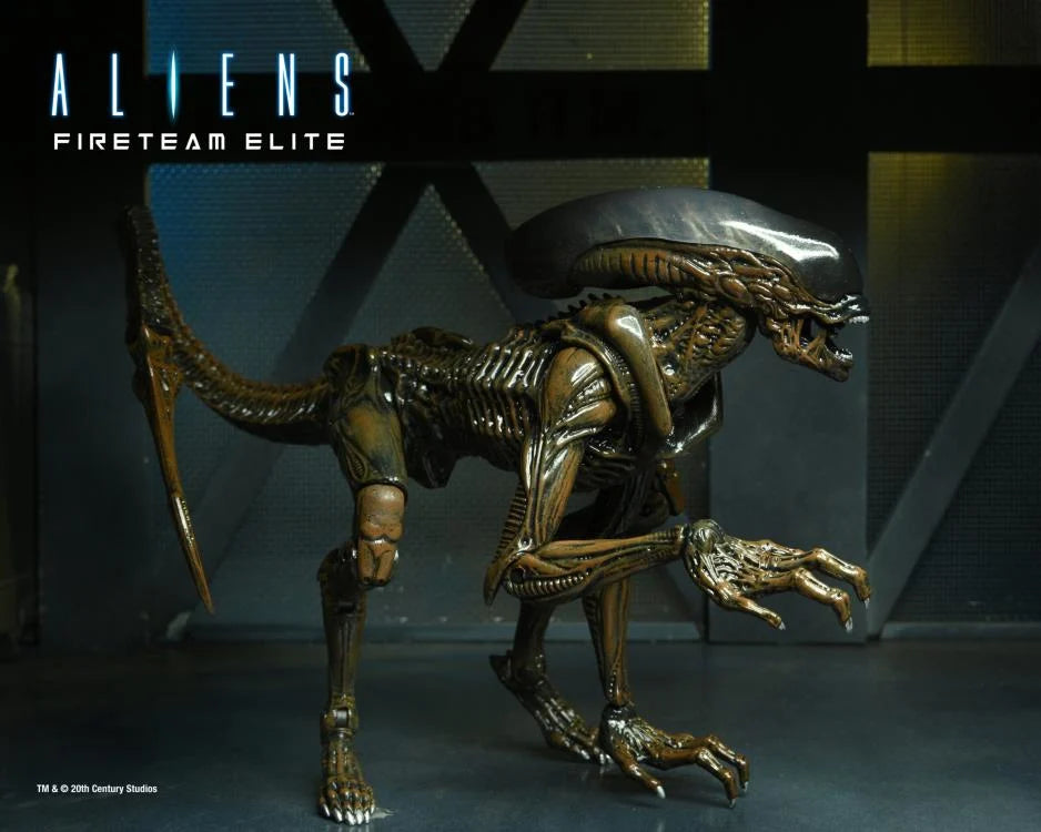 Aliens: Fireteam Elite - Runner Alien Action Figure