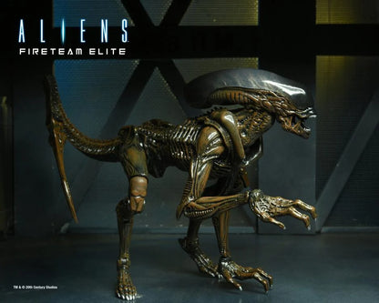 Aliens: Fireteam Elite - Runner Alien Action Figure