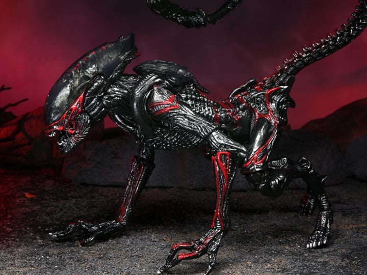 Aliens Kenner Tribute - Night Cougar Alien