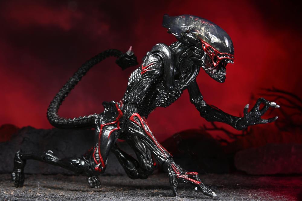 Aliens Kenner Tribute - Night Cougar Alien