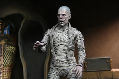 Universal Monsters NECA Ultimate Mummy (Color) Figure