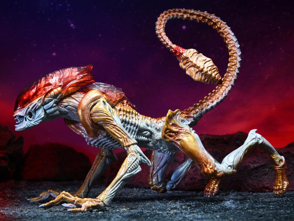 Aliens Kenner Tribute - Panther Alien