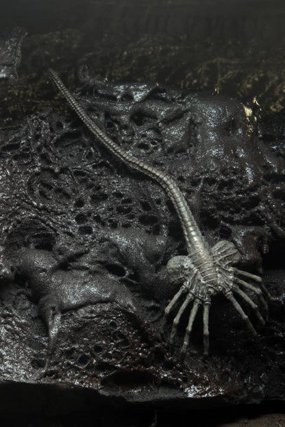 Alien 40th Anniversary - Giger's Alien