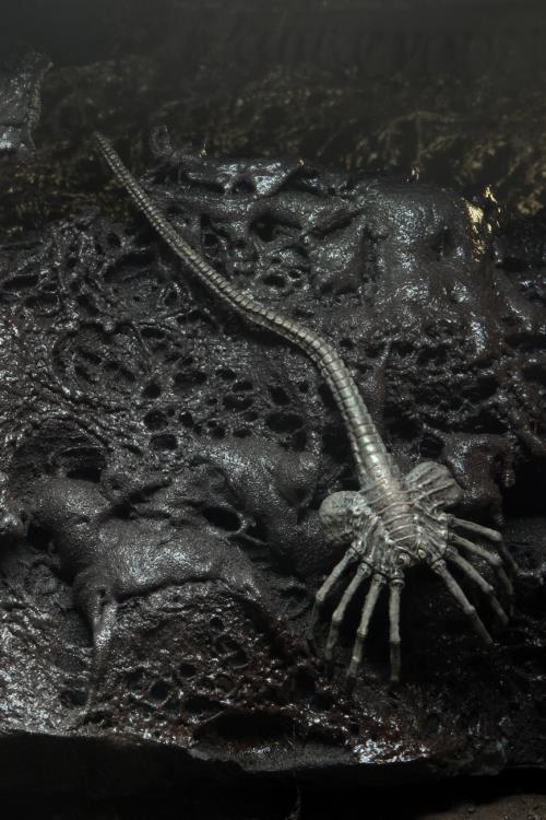 Alien 40th Anniversary - Giger's Alien
