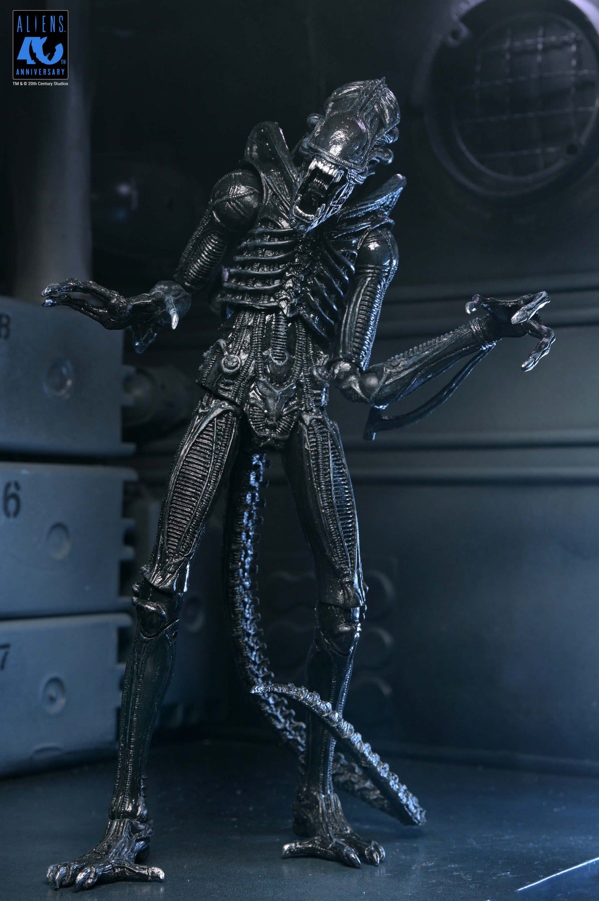 Aliens 40th Anniversary Ultimate Xenomorph Warrior NECA Figure — Front View Arms Outstretched