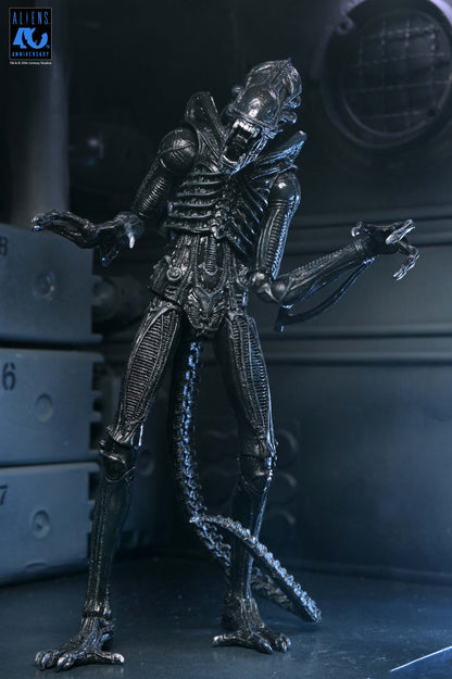 Aliens 40th Anniversary Ultimate Xenomorph Warrior NECA Figure — Front View Arms Outstretched