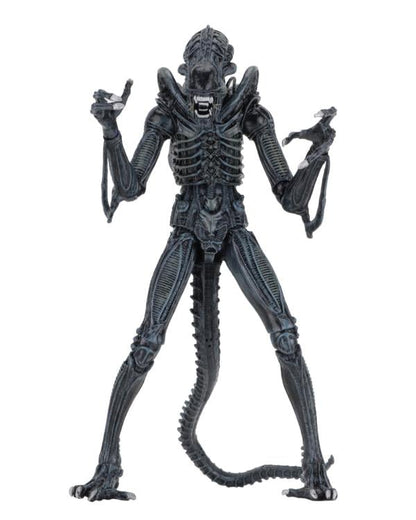 Aliens Ultimate Blue Warrior NECA 9-Inch Figure — Front View on White Background