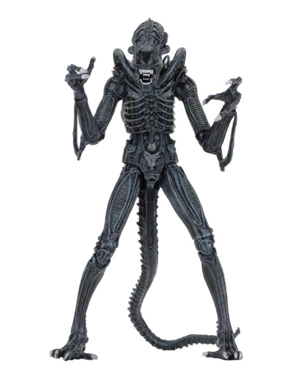 Aliens Ultimate Blue Warrior NECA 9-Inch Figure — Front View on White Background