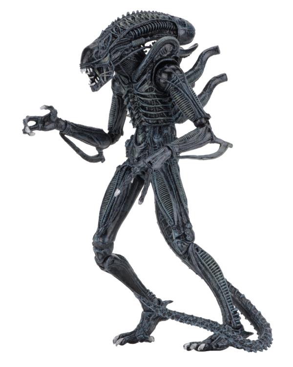 Aliens Ultimate Blue Warrior NECA 9-Inch Figure — Three-Quarter Side View on White Background