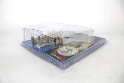 Goldust WWE Retro Series 9 Action Figure — Angled Side View Showing Clear Protective Case Over Carded Package
