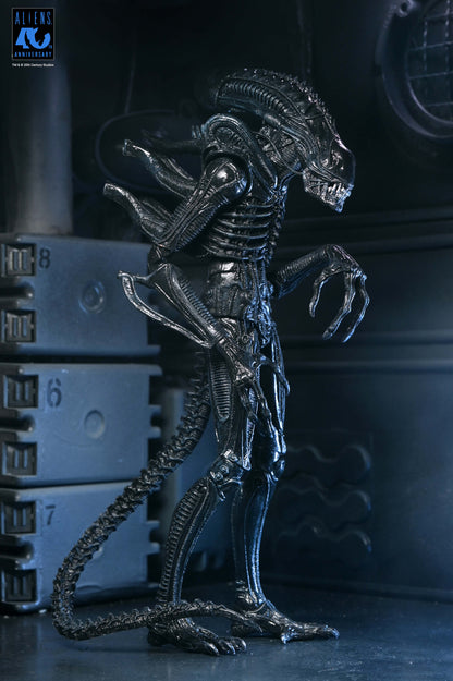Aliens 40th Anniversary Ultimate Xenomorph Warrior NECA Figure — Side View Profile