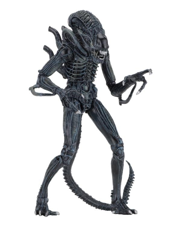 Aliens Ultimate Blue Warrior NECA 9-Inch Figure — Side View Stalking Pose on White Background