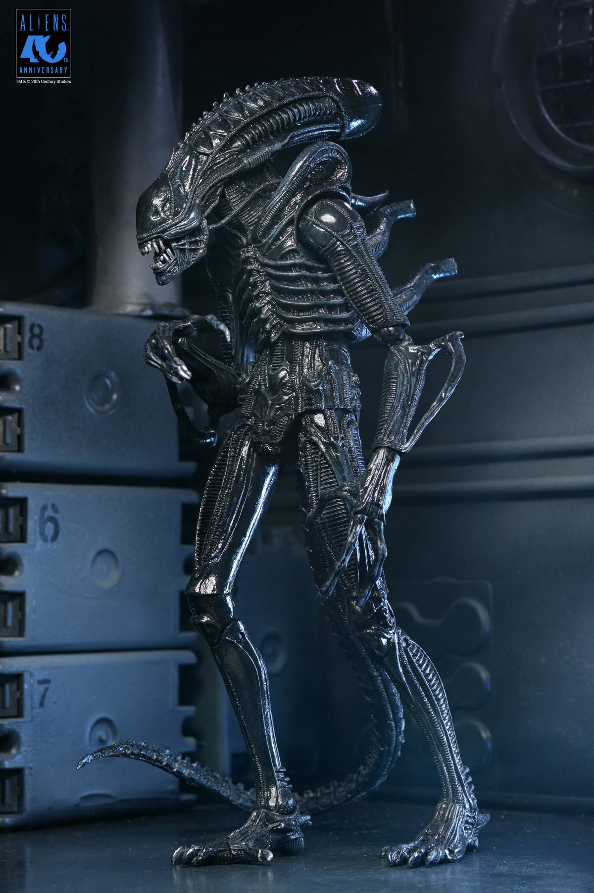 Aliens 40th Anniversary Ultimate Xenomorph Warrior NECA Figure — Back View Tail Detail