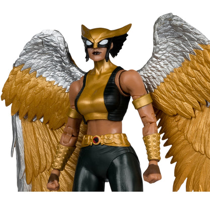 Hawkgirl DC Multiverse Collector Edition 7-Inch Figure — Figure Detail Upper Body and Wing Close-Up