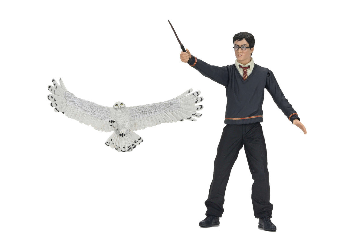 Harry Potter Legacy Collection 7-Inch Figure — Out of Box Figure and Hedwig on White