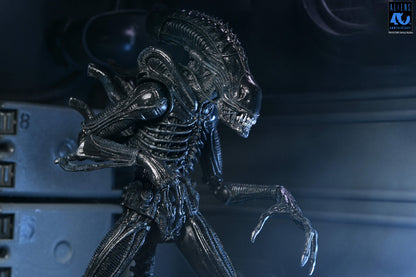 Aliens 40th Anniversary Ultimate Xenomorph Warrior NECA Figure — Side Head Detail Inner Jaw