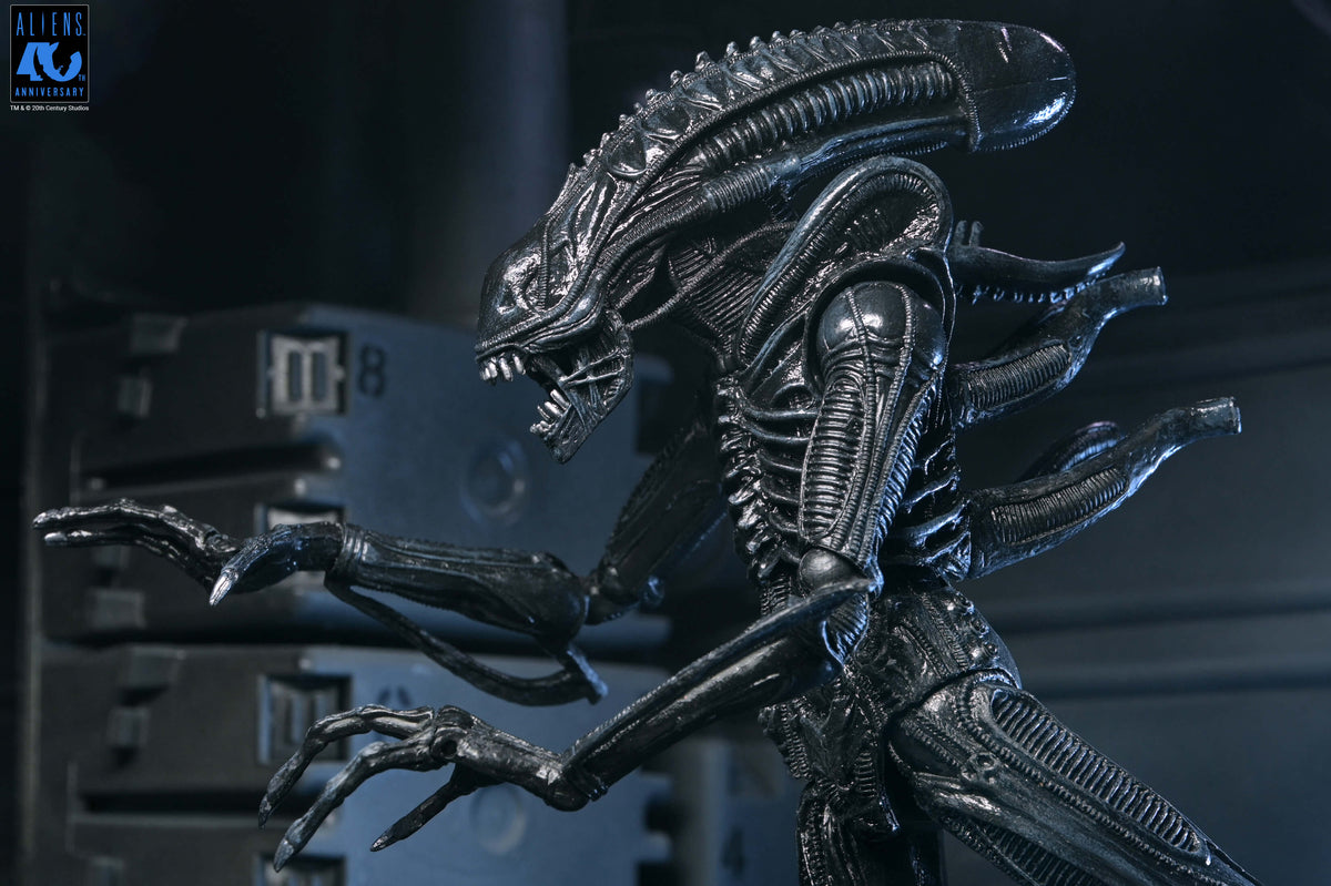 Aliens 40th Anniversary Ultimate Xenomorph Warrior NECA Figure — Crouching Articulation Pose
