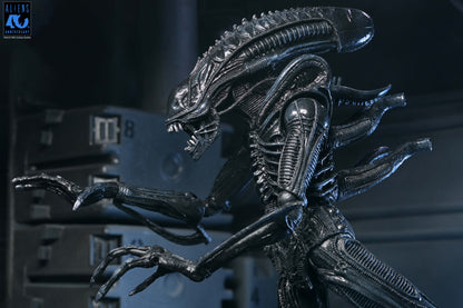 Aliens 40th Anniversary Ultimate Xenomorph Warrior NECA Figure — Crouching Articulation Pose