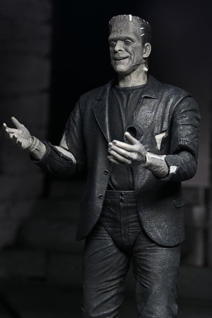 Frankenstein's Monster Universal Monsters 7-Inch Figure — Articulation Pose Front View