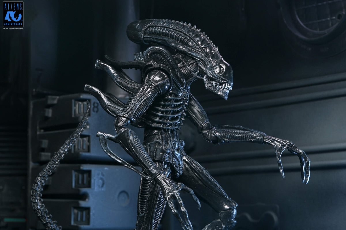 Aliens 40th Anniversary Ultimate Xenomorph Warrior NECA Figure — Lunging Pose Detail
