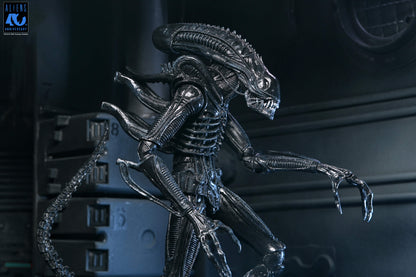 Aliens 40th Anniversary Ultimate Xenomorph Warrior NECA Figure — Lunging Pose Detail
