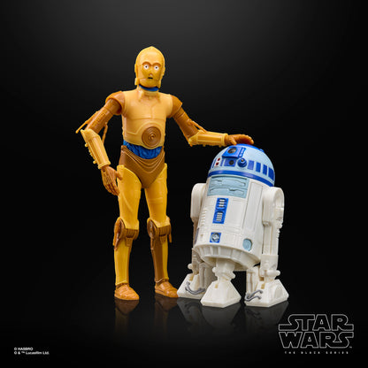 C-3PO Droids Black Series 6-Inch Figure — Out of Box Display with R2-D2