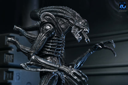 Aliens 40th Anniversary Ultimate Xenomorph Warrior NECA Figure — Figure Detail Upper Torso Close-Up