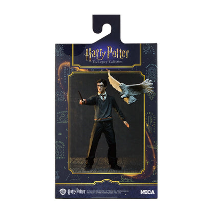 Harry Potter Legacy Collection 7-Inch Figure — Package Back with Figure and Hedwig Art