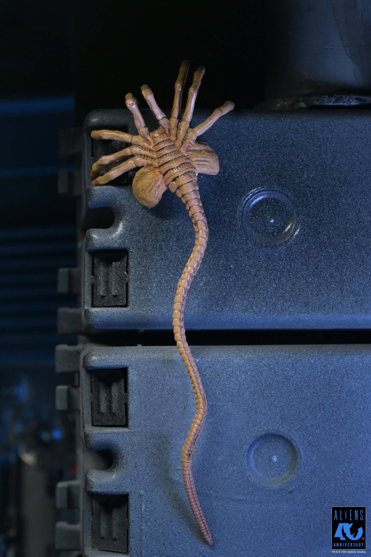 Aliens 40th Anniversary Ultimate Xenomorph Warrior — Facehugger Accessory Detail