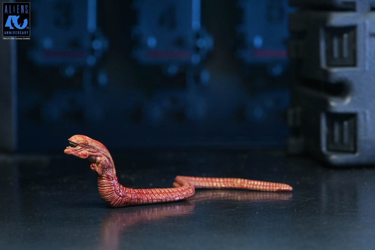 Aliens 40th Anniversary Ultimate Xenomorph Warrior — Chestburster Accessory Detail