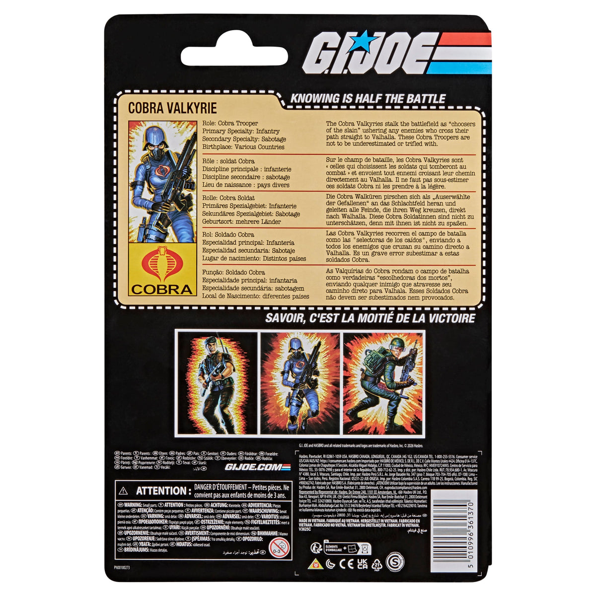 Cobra Valkyrie G.I. Joe Classified Retro 6-Inch Figure — Card Back with Character Bio Detail