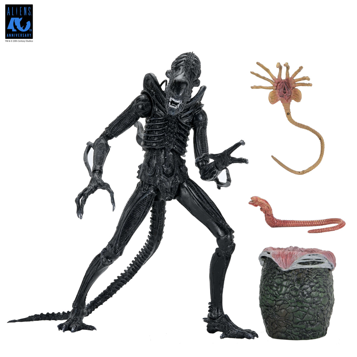 Aliens 40th Anniversary Ultimate Xenomorph Warrior NECA Figure — Figure with All Accessories Included
