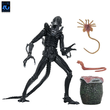 Aliens 40th Anniversary Ultimate Xenomorph Warrior NECA Figure — Figure with All Accessories Included