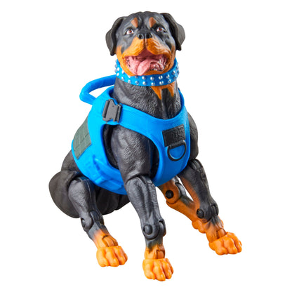 Junkyard GI Joe Classified Series 6-Inch — Good Boy Head Front View White Background