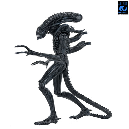 Aliens 40th Anniversary Ultimate Xenomorph Warrior NECA Figure — Out of Box Side View White Background