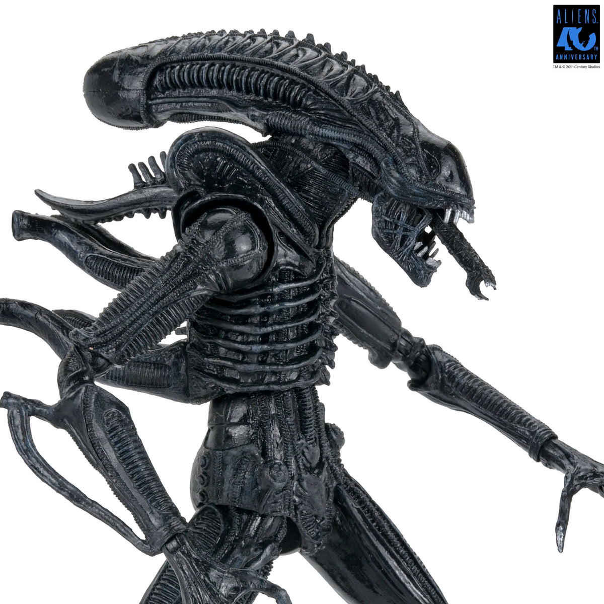 Aliens 40th Anniversary Ultimate Xenomorph Warrior NECA Figure — Out of Box Head Detail White Background