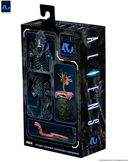 Aliens 40th Anniversary Ultimate Xenomorph Warrior NECA — Package Back View Contents Display