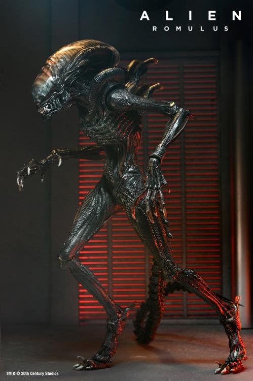 Scorched Alien Xenomorph Alien: Romulus NECA Ultimate