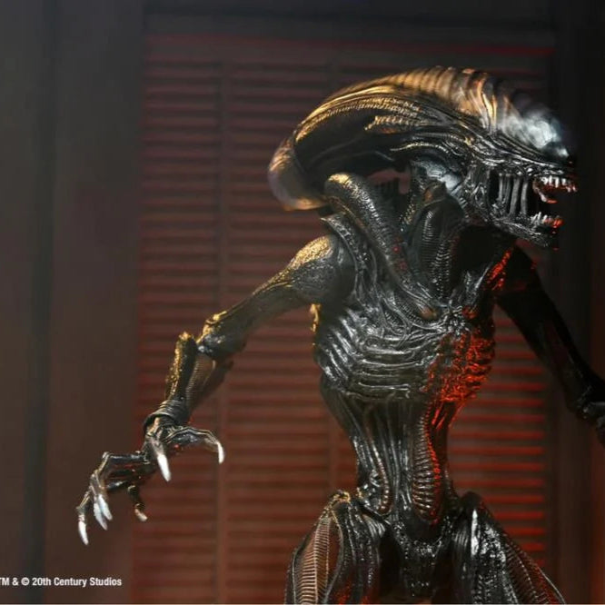 Scorched Alien Xenomorph Alien: Romulus NECA Ultimate